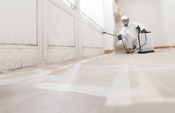 24/7 Emergency Commercial Mold Remediation experts in Flint Hill, VA