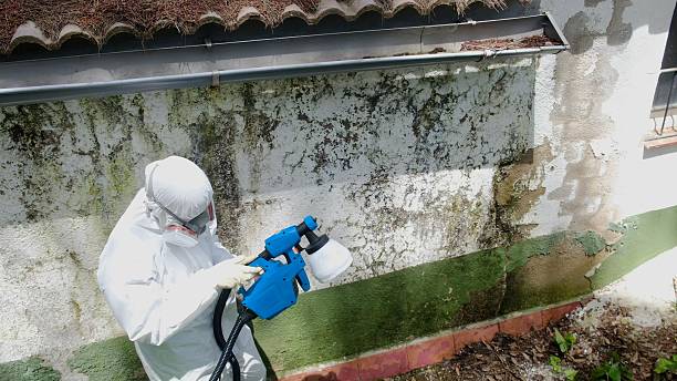 Top rated local Commercial Mold Remediation specialists in Flint Hill, VA